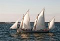 Sur Le Bassin d'Arcachon